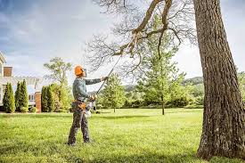Best Lawn Renovation and Restoration  in Tishomingo, OK