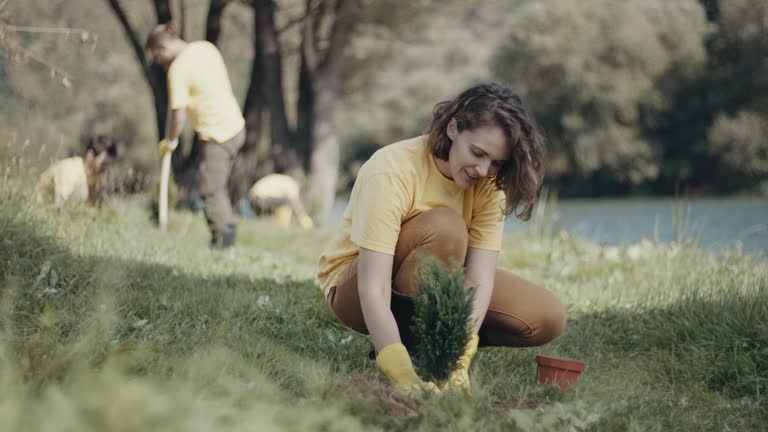 Best Root Management and Removal  in Tishomingo, OK