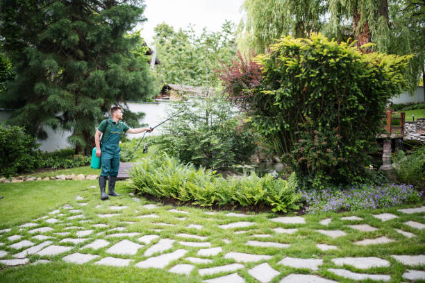 Best Pest Control for Lawns  in Tishomingo, OK