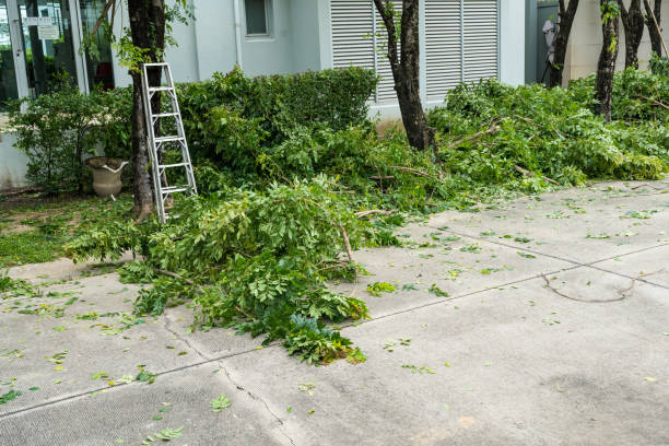 Best Lawn Pest Prevention  in Tishomingo, OK