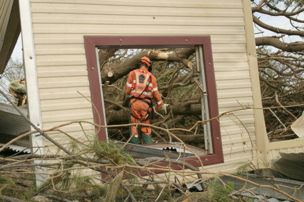Best Storm Damage Tree Cleanup  in Tishomingo, OK